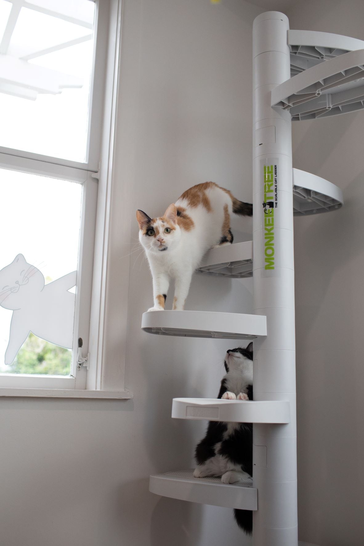 Monkee Tree - The Scalable Cat Climbing Ladder 18 Trunk Starter Pack